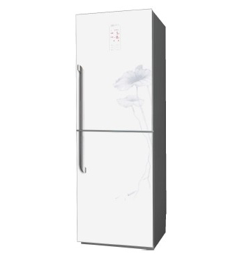 Two-Door Refrigerator with LED Lighting