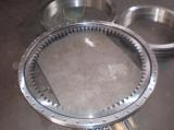 Slewing Ring Bearing Replacement