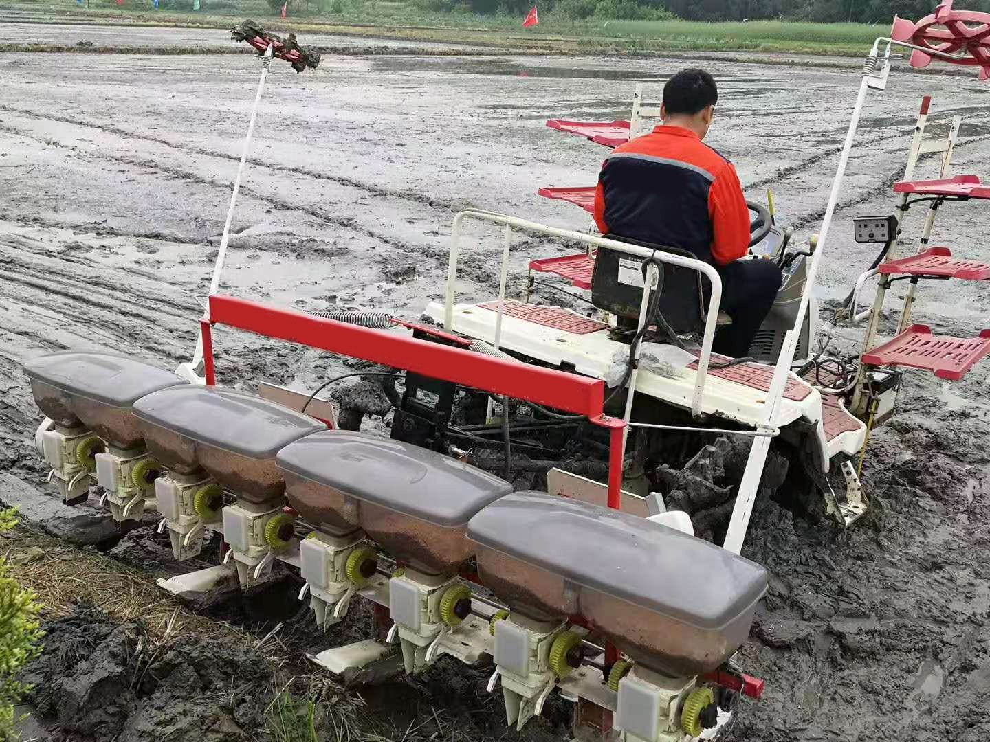 rice seeder sowing machine 8 rows and 10 rows - Image 2