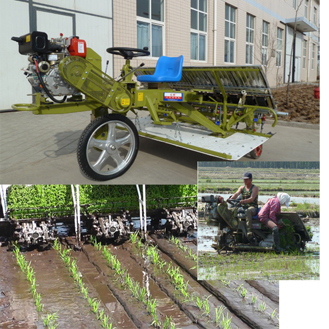 Self-Propelled Rice Transplanter
