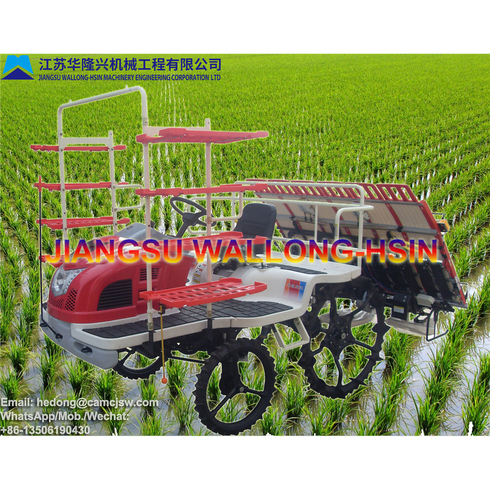 Ride-on Type Rice Transplanter 2ZG-630A - Image 2