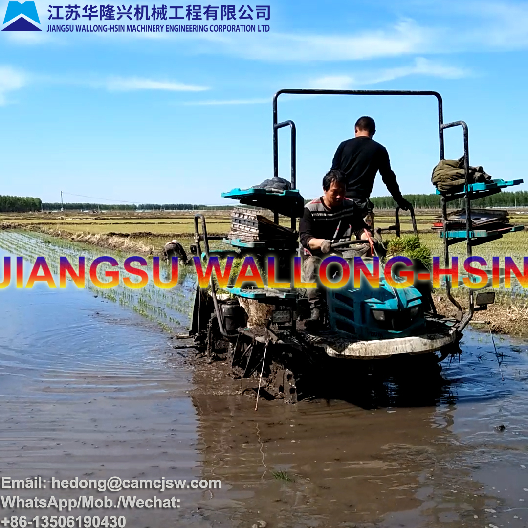 Ride-on Type Rice Transplanter 2ZW-6D2 - Image 2