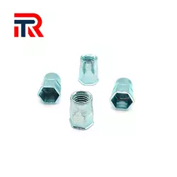 Rivet nut custom shape zinc plated Fasteners China factory Accept Customization Rivet nut - Image 2