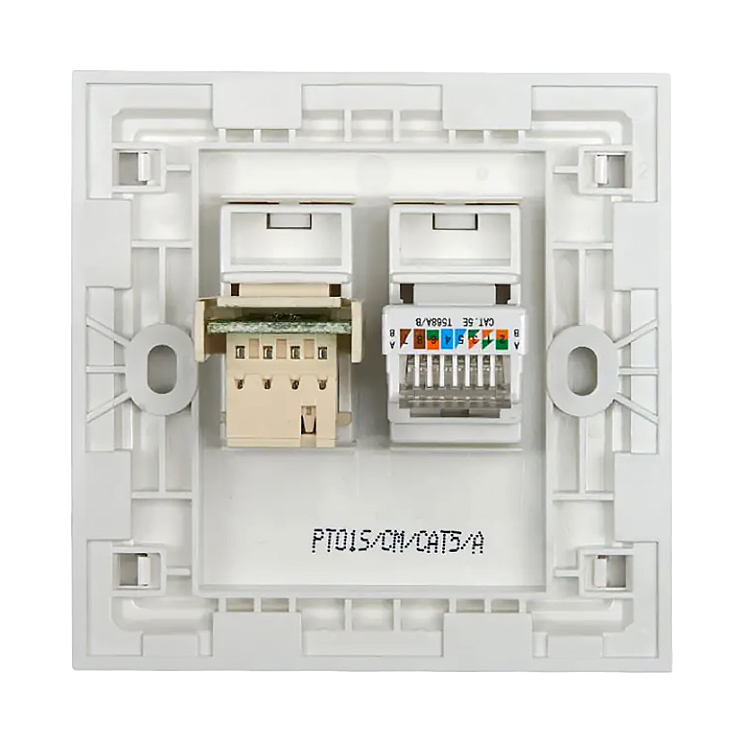Dual Port RJ45 and RJ11 Wall Plate