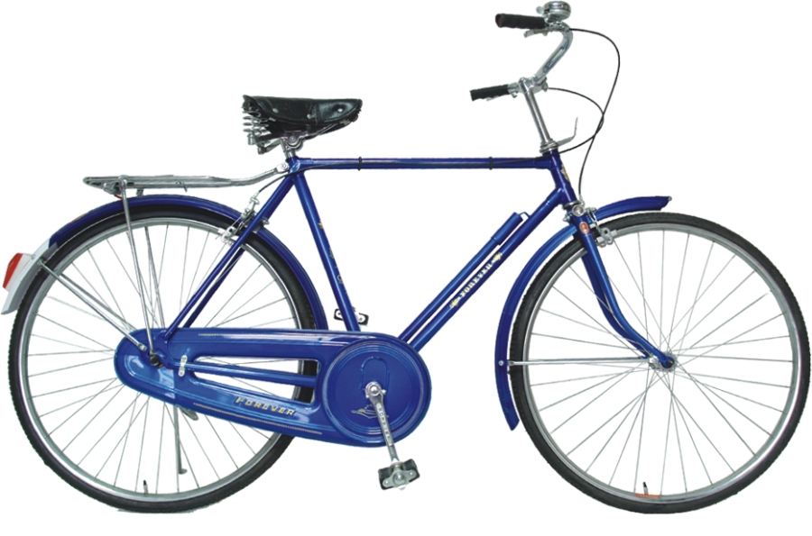 Women's Step-Through Frame Roadster Bicycle