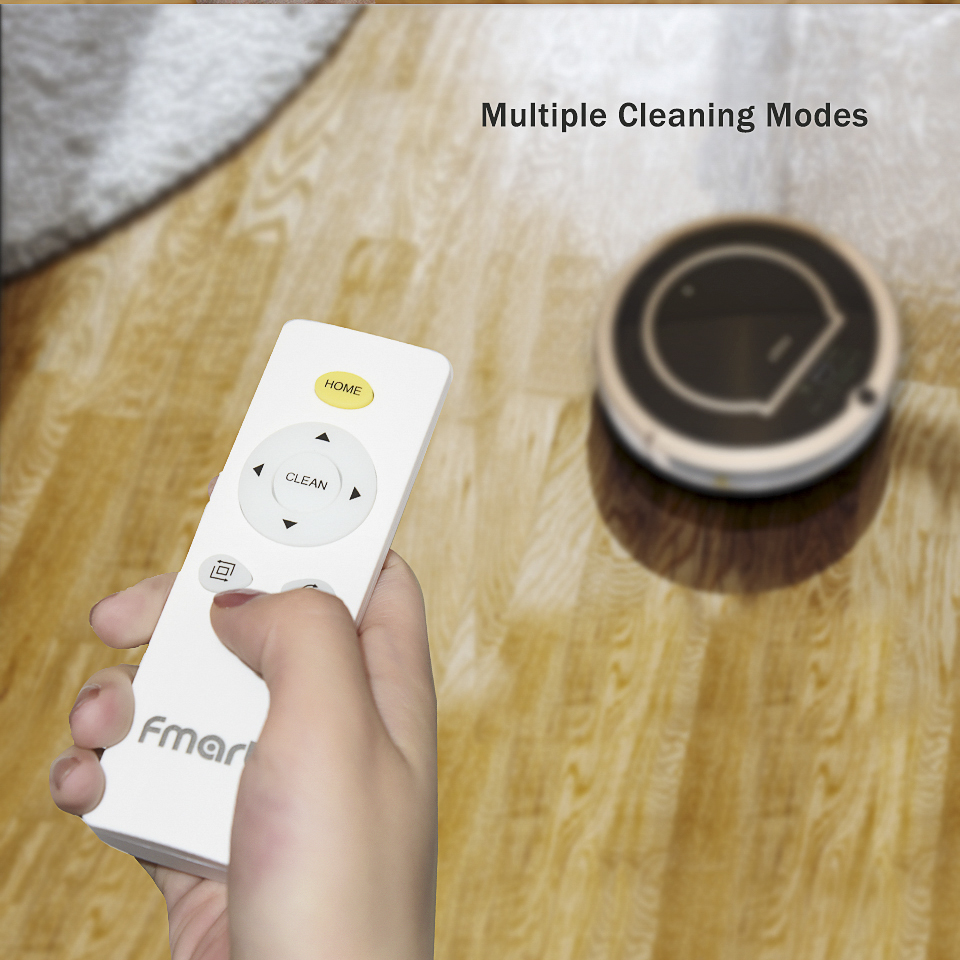 Remote control and cleaning modes