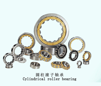 Cylindrical Roller Bearing