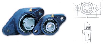 Pillow Block Bearing Unit