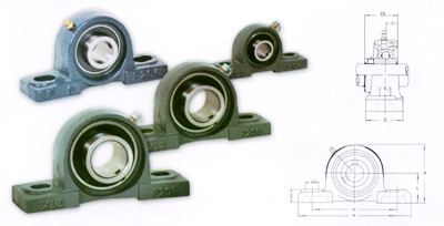 Pillow Block Bearing Unit