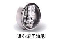 Self-Aligning Roller Bearing
