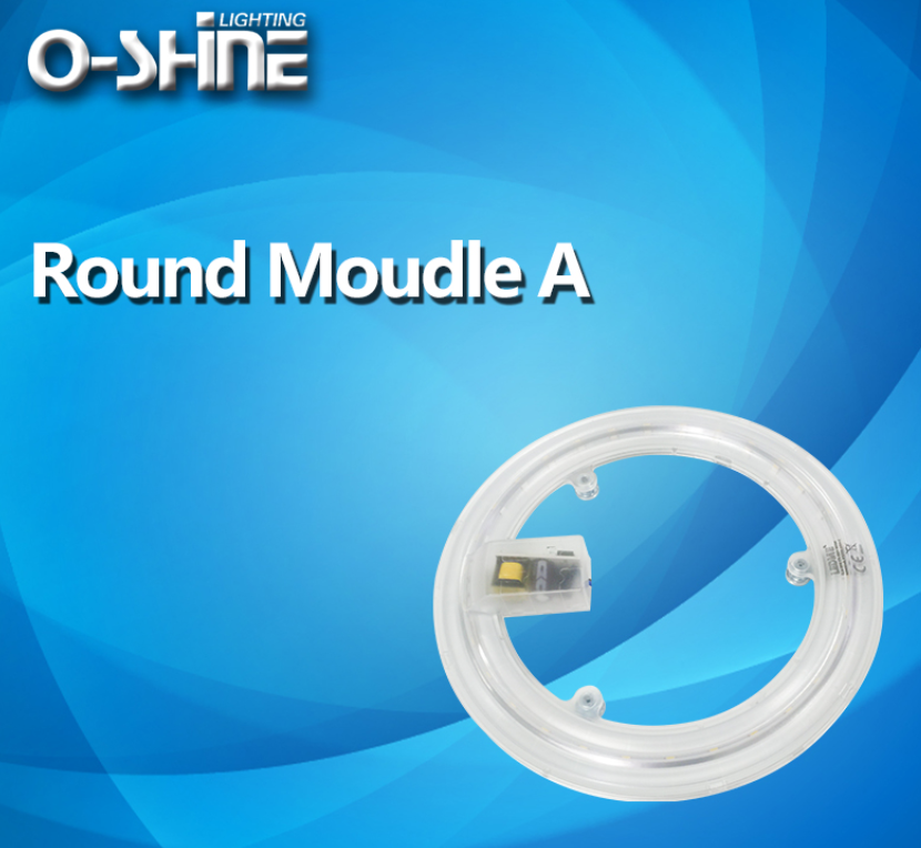 Round Moudle A - Image 2
