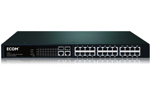 24-Port Fast Ethernet Switch with 2 Gigabit Ports