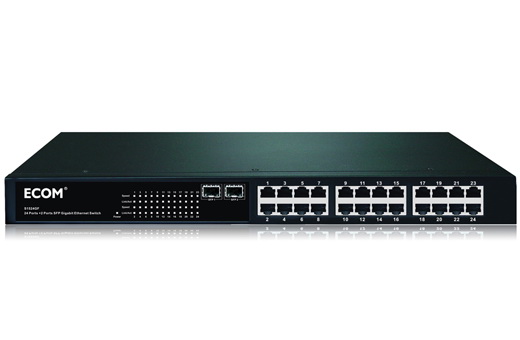 24-Port Gigabit Ethernet Switch with 2 SFP Ports