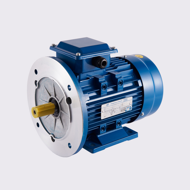 Russian standard AИP three phase asynchronous motor B35 mounted - Image 3