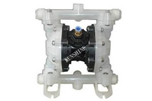 RW Air operated diaphragm pump - Image 3