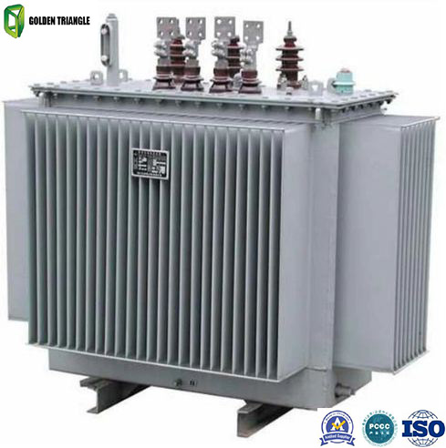 Oil-Immersed Power Transformer