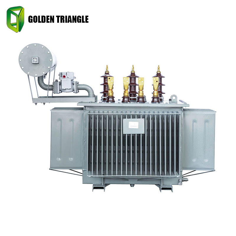 Oil-Immersed Power Transformer