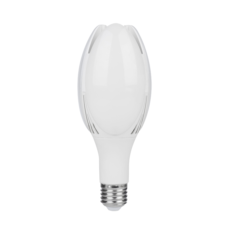 Tulip-Shaped LED Bulb
