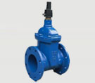 Industrial Flanged Gate Valve