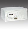 Electronic Digital Safe
