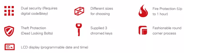 Graphic overview of security features including dual lock and fire protection