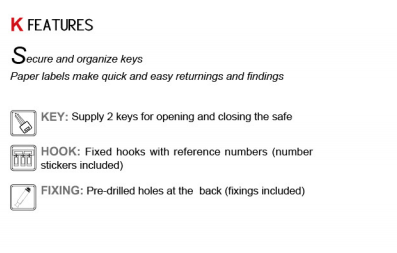Diagram showing the internal hook organization and mounting features of the key safe.