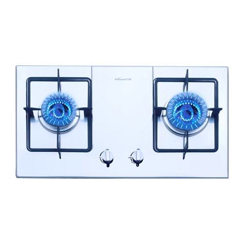 Dual Burner Stainless Steel Gas Stove