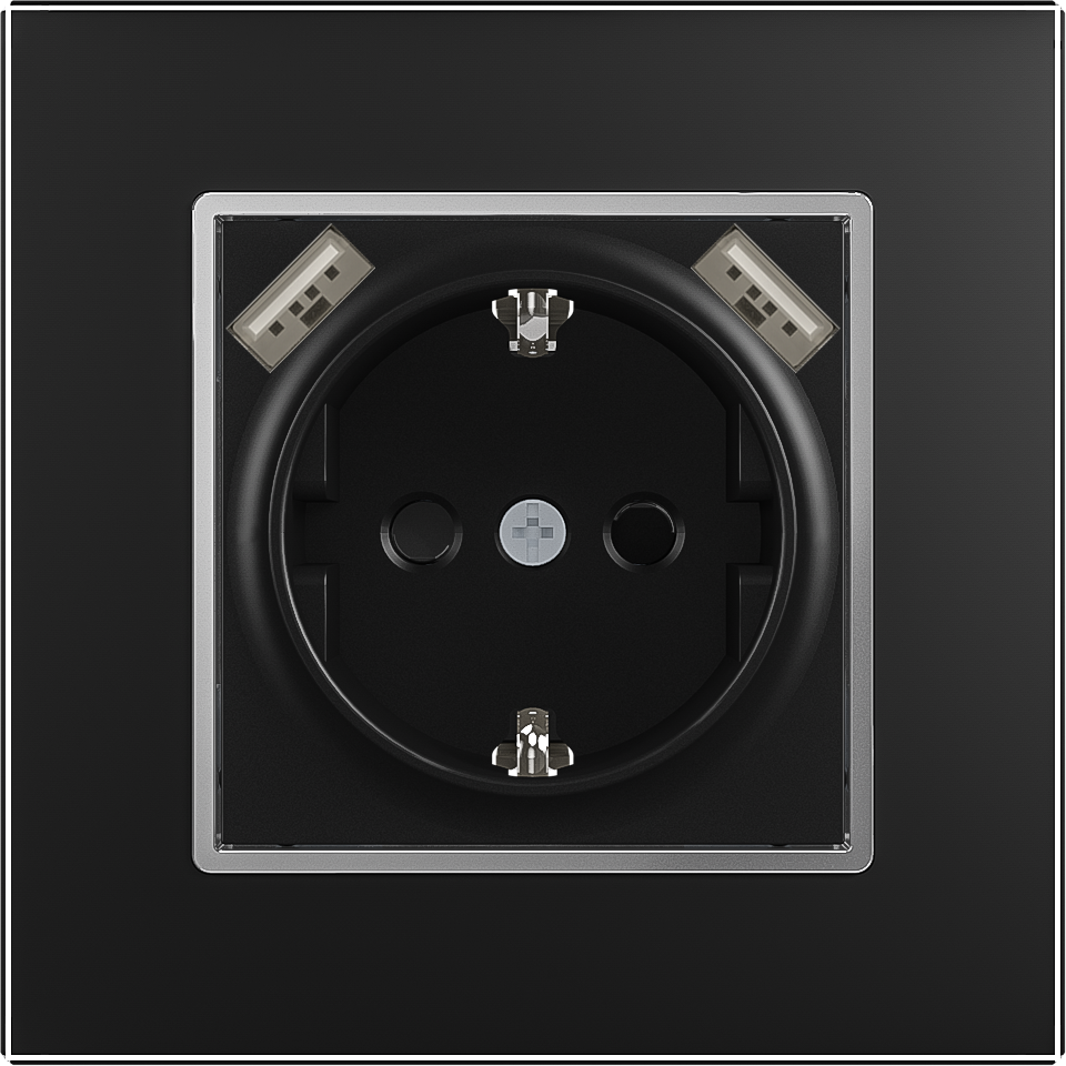 Schuko Socket with Dual USB Charging Ports