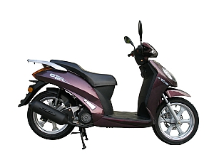 Gasoline Powered Scooter