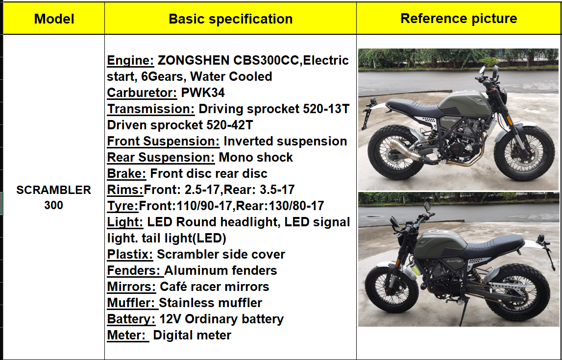 Technical diagram and overview of the 300cc scrambler motorcycle