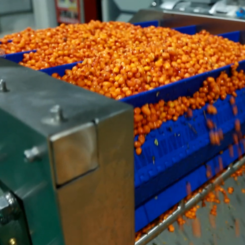 Seabuckthorn juice processing line - Image 2
