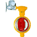 Electric Actuated Butterfly Valve