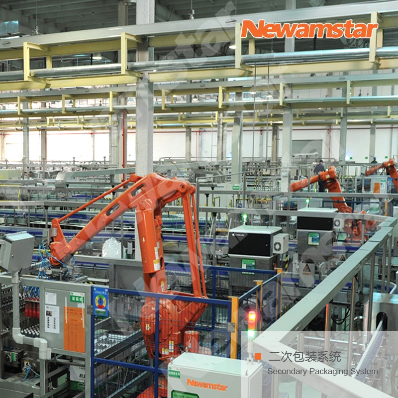 Secondary packaging production line solution - Image 3