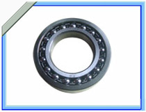 Self-Aligning Double Row Ball Bearing