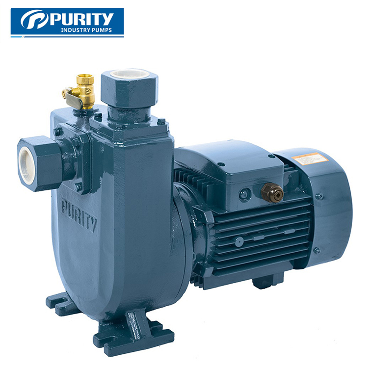 Self-priming Centrifugal Pump PXZ - Image 2
