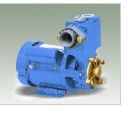 Self-Priming Water Pump