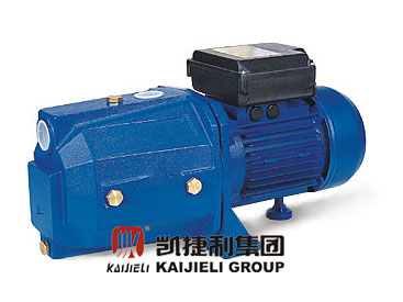 Self-Priming Water Pump