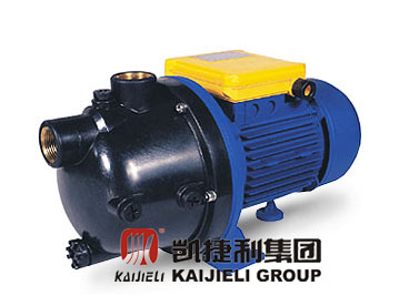 Self-Priming Water Pump