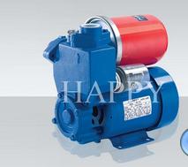Self-Priming Vortex Pump