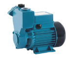 Self-Priming Electric Vortex Pump