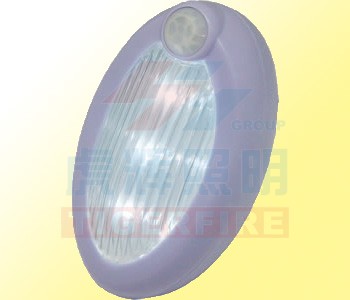 Motion and Light Activated Sensor Light