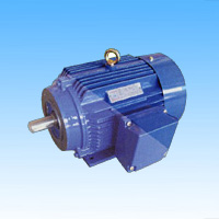 NEMA Premium Three-Phase AC Induction Motor