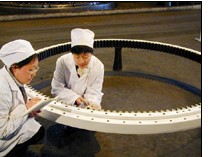 Wind Turbine Slewing Bearing