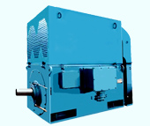 High Voltage Three-Phase Induction Motors