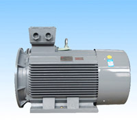 Three-Phase AC Induction Motor