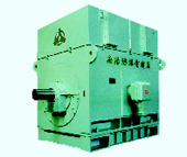 High-Voltage Three-Phase Induction Motors