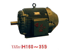 High-Efficiency Increased-Safety Electric Motor