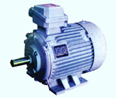 Flameproof Three-Phase Electric Motor