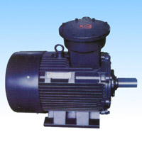 Flameproof Three-Phase AC Induction Motor