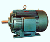 Flameproof Electric Motor for Hazardous Environments